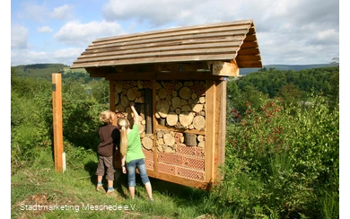 Insektenhotel Sinnepfad Hennesee