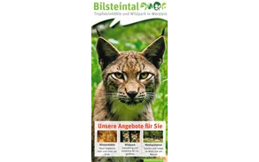 Bilsteintal.jpg Bilsteintal