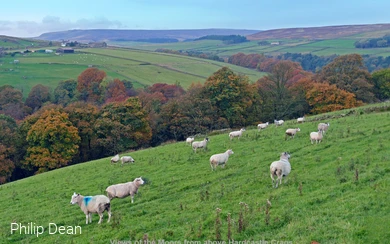 Blick auf das Moor von Hardcastle Crags