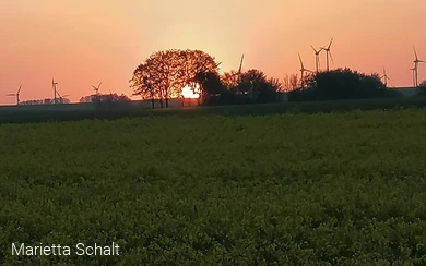 Sonnenaufgang Waldhausen